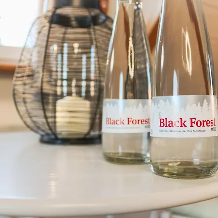 Wolfsgrund Und/oder - Luxus In Seenaehe Mit Tollem Garten Schluchsee