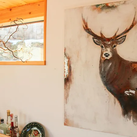 Konukevi Wolfsgrund Und/oder - Luxus In Seenaehe Mit Tollem Garten Schluchsee