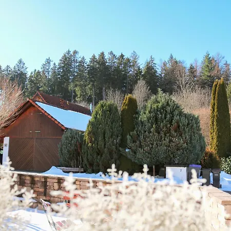 Wolfsgrund Und/oder - Luxus In Seenaehe Mit Tollem Garten Konukevi Schluchsee