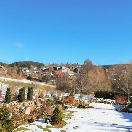 Wolfsgrund Und/oder - Luxus In Seenaehe Mit Tollem Garten Schluchsee