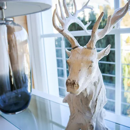 Wolfsgrund Und/oder - Luxus In Seenaehe Mit Tollem Garten Gæstehus