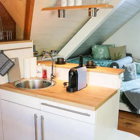 Wolfsgrund Und/oder - Luxus In Seenaehe Mit Tollem Garten Konukevi Schluchsee