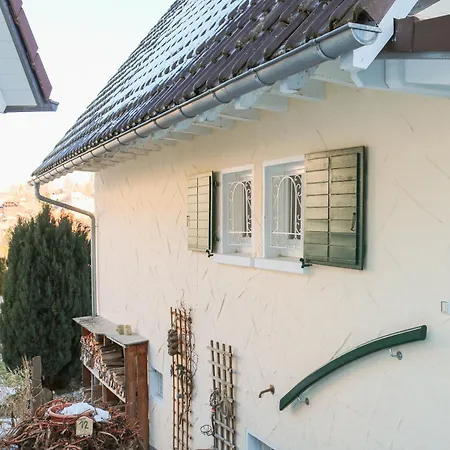 Wolfsgrund Und/oder - Luxus In Seenaehe Mit Tollem Garten Pensión Schluchsee