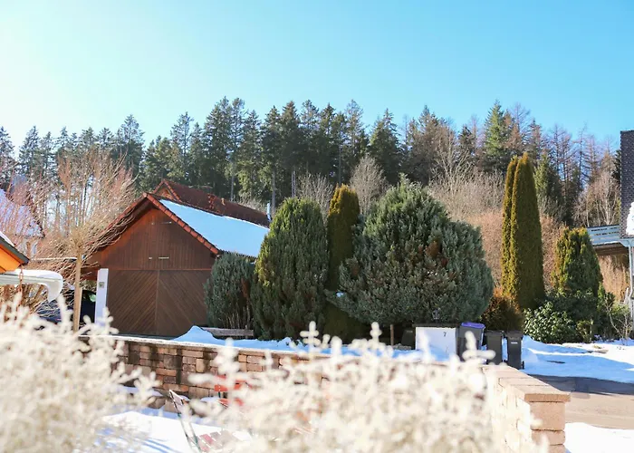 Wolfsgrund Und/oder - Luxus In Seenähe Mit Tollem Garten Gasthof Schluchsee