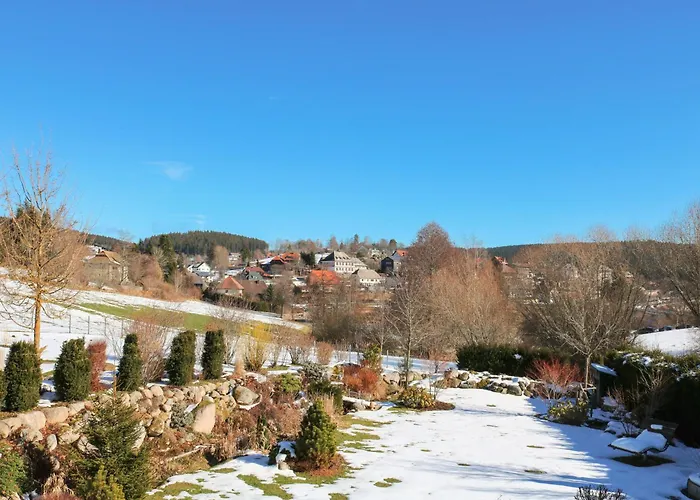 Wolfsgrund Und/oder - Luxus In Seenähe Mit Tollem Garten Schluchsee